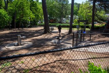 Fenced dog park ( click here for virtual tour)