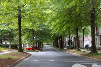 Pedestrian-friendly sidewalks throughout