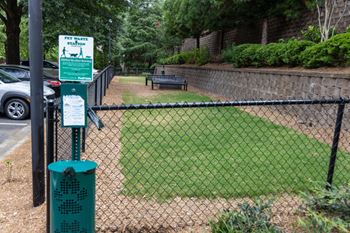 Dog park
