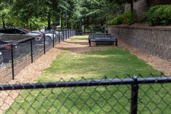 Dog park