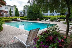 Smyrna apartment for rent - Walton Grove Apartment Homes, Smyrna GA Swimming Pool