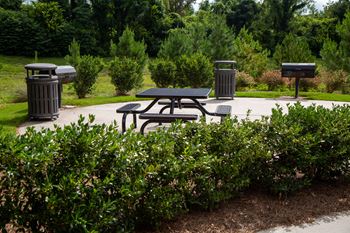 Bbq/picnic area