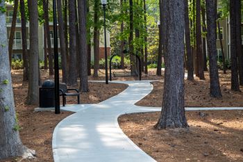 Walking paths