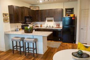 Marietta apartment for rent - Walton Ridge Apartment Home Kitchen
