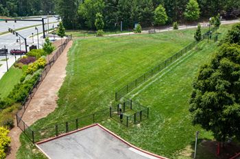 Fenced dog park