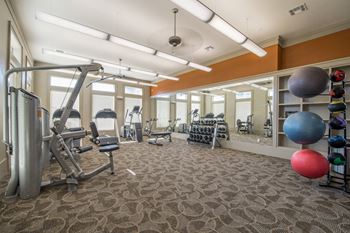 Sophisticated fitness center with free weights