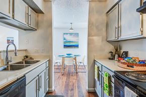 Austin apartment for rent - Modern Austin Apartment
