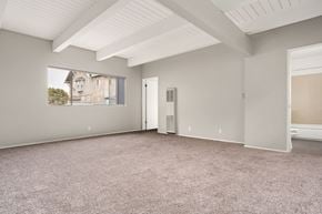 Los Angeles apartment for rent - A spacious room with a carpeted floor and a window showing a building outside.
