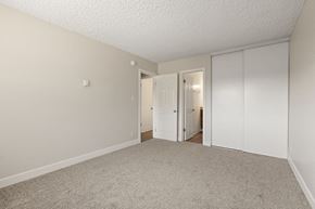 Canoga Park apartment for rent - Plush Carpeting at Parthenia Terrace Apartments, Canoga Park, CA, 91304