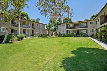 Courtyard with green space