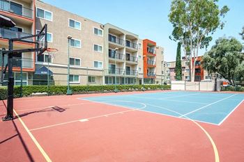 Basketball ground