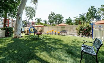 Picnic area