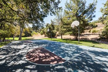 Basketball court area