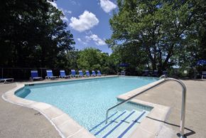 Ann Arbor apartment for rent - A swimming pool surrounded by trees and blue lounge chairs.