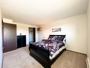 Elyria apartment for rent - Model Master Bedroom at Condor Garden Apartments, Ohio