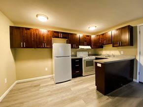 Brookpark apartment for rent - a kitchen with wooden cabinets and a white refrigerator