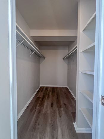 A walk in closet with shelves and a wood floor