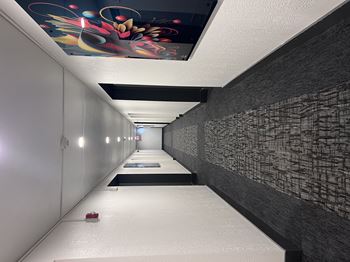Gallery inspired common areas