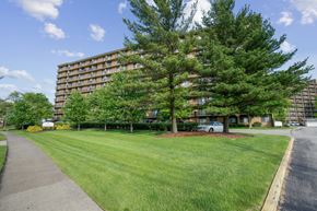 Parma Heights apartment for rent - A large tree in front of a multi-story apartment building at Independence Place Apartments, Parma Heights, OH