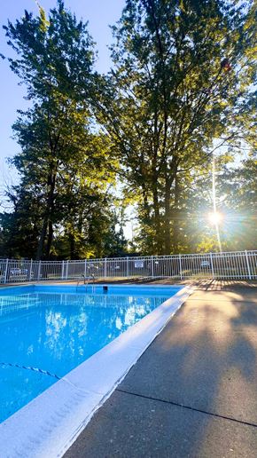 Willoughby apartment for rent - A pool surrounded by trees with the sun shining through the branches.