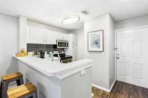 St. Petersburg apartment for rent - Kitchen With Breakfast Bar