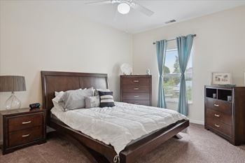Ceiling fan