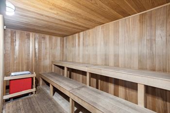 Dry sauna