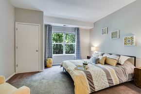Rochester apartment for rent - Spacious Carpeted Bedroom With Lots Of Natural Light