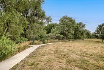 Walking paths