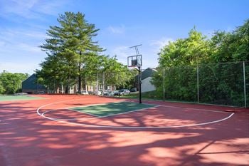 Basketball court