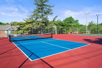 Pickleball court