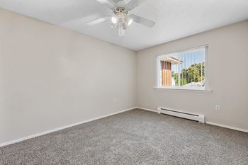 Ceiling fan