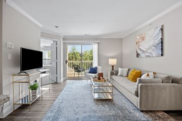 Eureka apartment for rent - A living room with a grey couch, a blue rug, a television, and a painting on the wall.