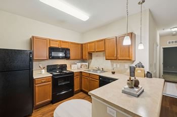 Fully equipped kitchen with built-in microwave