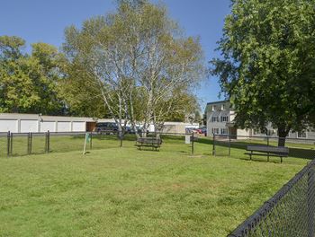 Dog park
