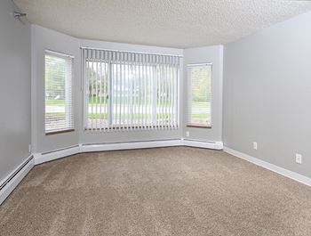 Plush carpeting