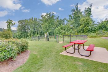 Pet park