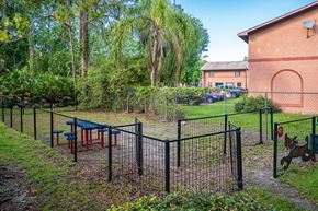 Daytona Beach apartment for rent - On-Premise Dog Park
