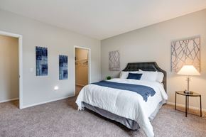 Bloomington apartment for rent - Carpeted Bedroom With Attached Walk-In Closet