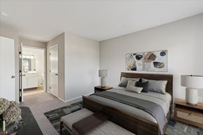 Belleville apartment for rent - Bedroom with Bathroom Access