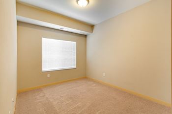 Plush carpeting