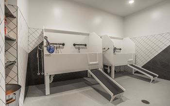 Pet wash station