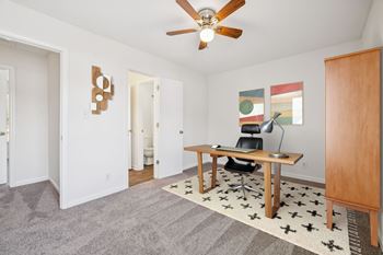 Ceiling fan