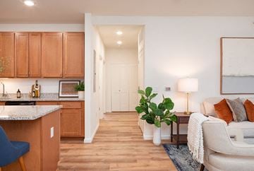 St. Peters apartment for rent - a living room and kitchen with a couch and a potted plant
