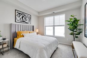 Woodbury apartment for rent - Bedroom Featuring Plush Carpet & Double Windows