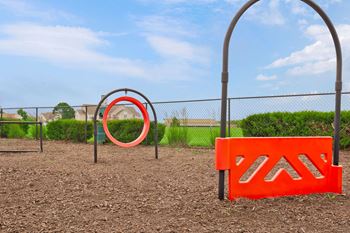 Dog park