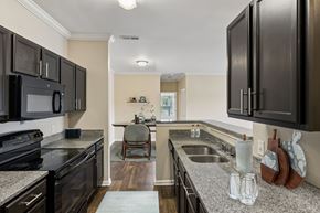Smyrna apartment for rent - Kitchen with Black Appliances