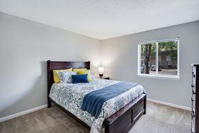 Chattanooga apartment for rent - Spacious Bedroom with Double Windows and Plush Carpet