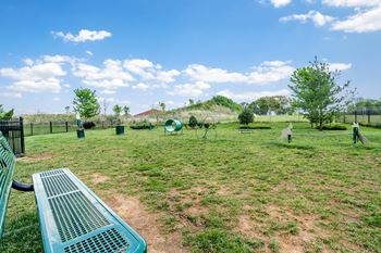 Two dog parks (one with agility equipment)