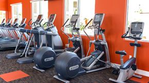 Redlands apartment for rent - Pet-Friendly Apartments in Redlands, CA - Circa 2020 - Fitness and Conditioning Center Featuring Cardio Equipment, Ellipticals, Treadmills, Exercise Bikes, Gym Matting Flooring, and Large Windows.